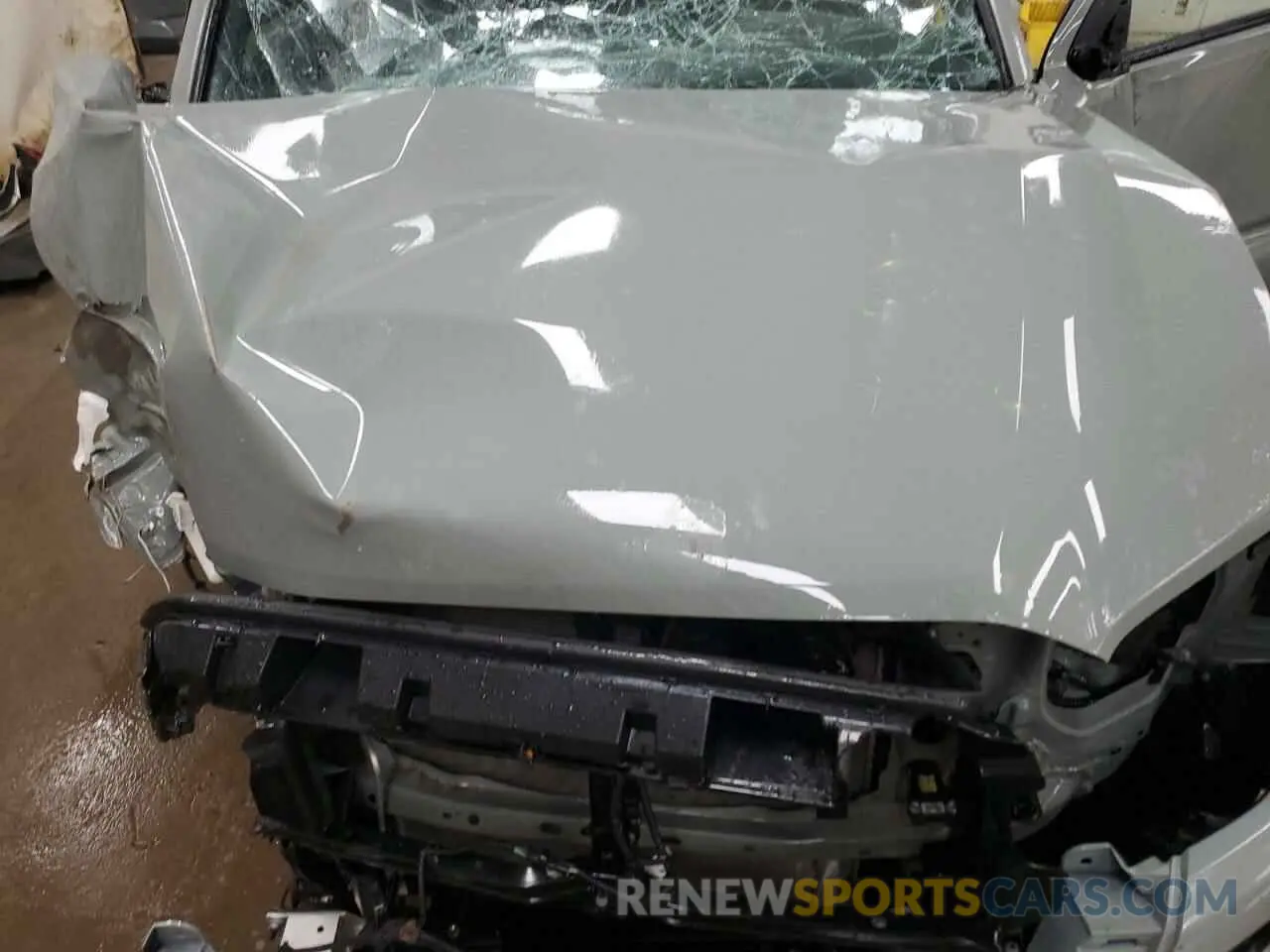 11 Photograph of a damaged car 3TMCZ5AN0PM616072 TOYOTA TACOMA 2023
