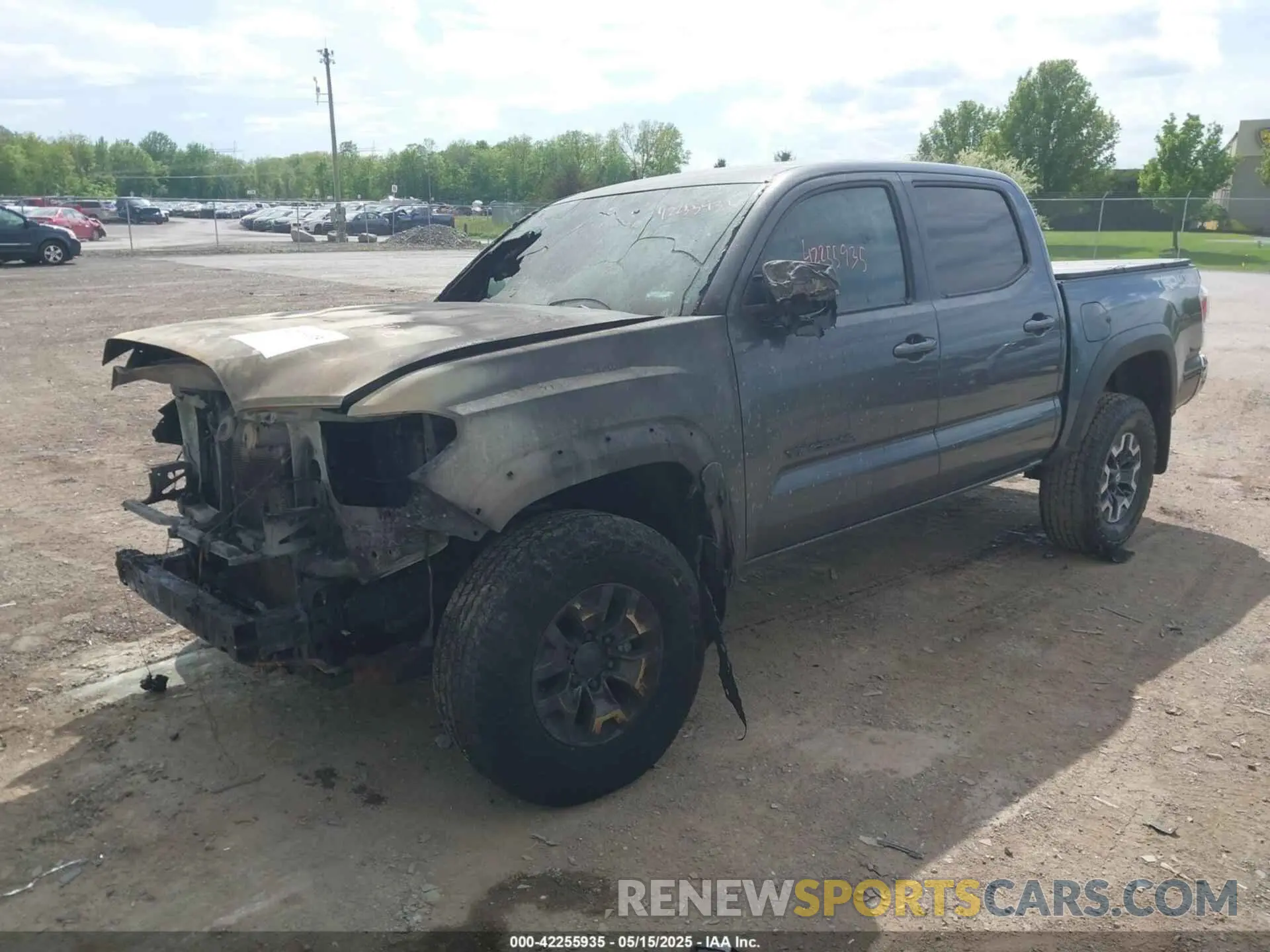 2 Photograph of a damaged car 3TMCZ5AN0PM636306 TOYOTA TACOMA 2023