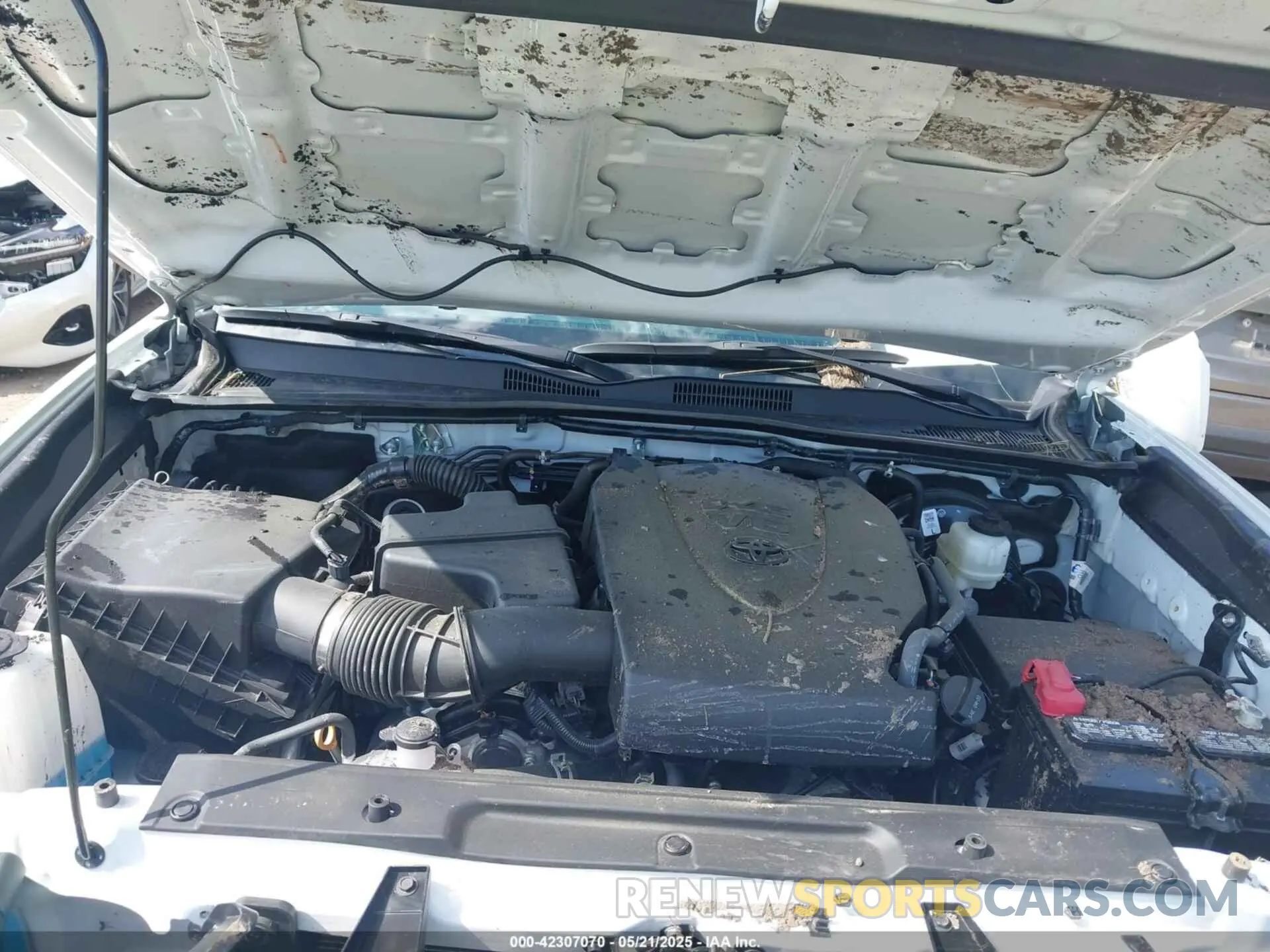 10 Photograph of a damaged car 3TMCZ5AN1PM580022 TOYOTA TACOMA 2023