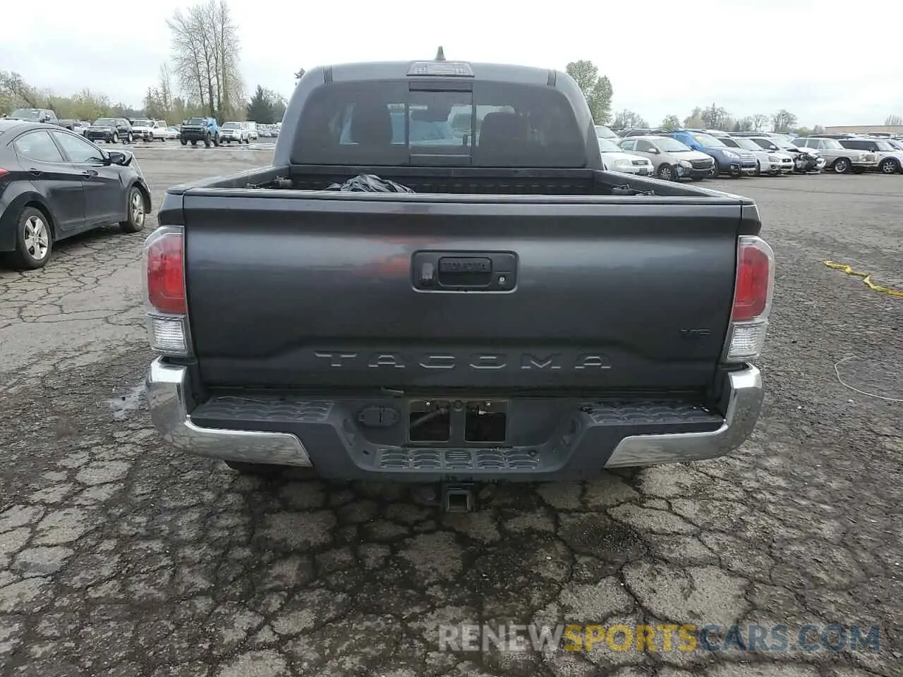 6 Photograph of a damaged car 3TMCZ5AN2PM607731 TOYOTA TACOMA 2023
