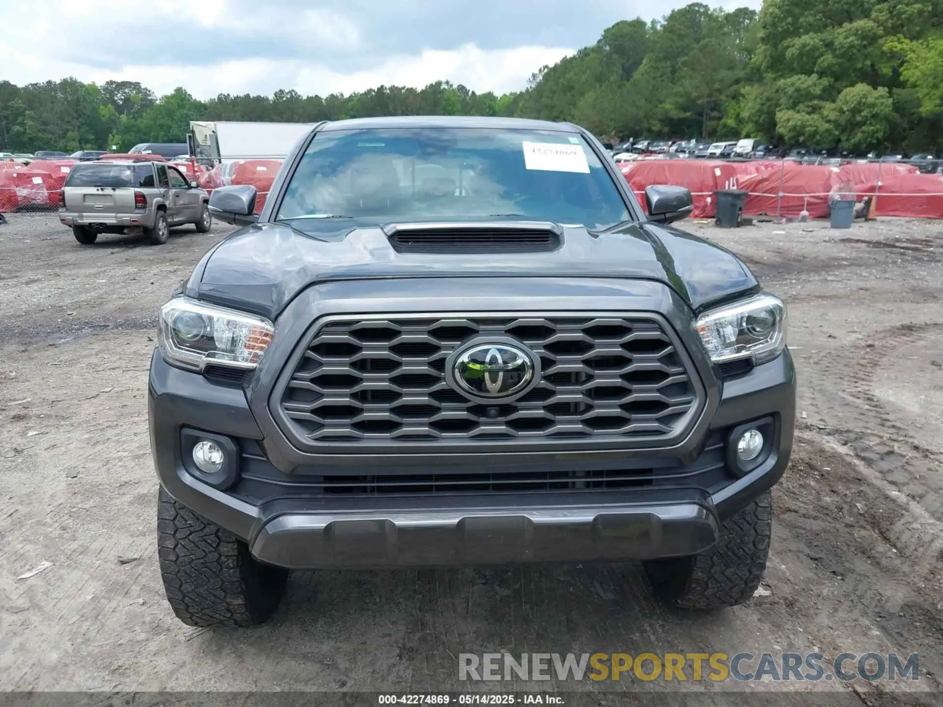 12 Photograph of a damaged car 3TMCZ5AN3PM567076 TOYOTA TACOMA 2023
