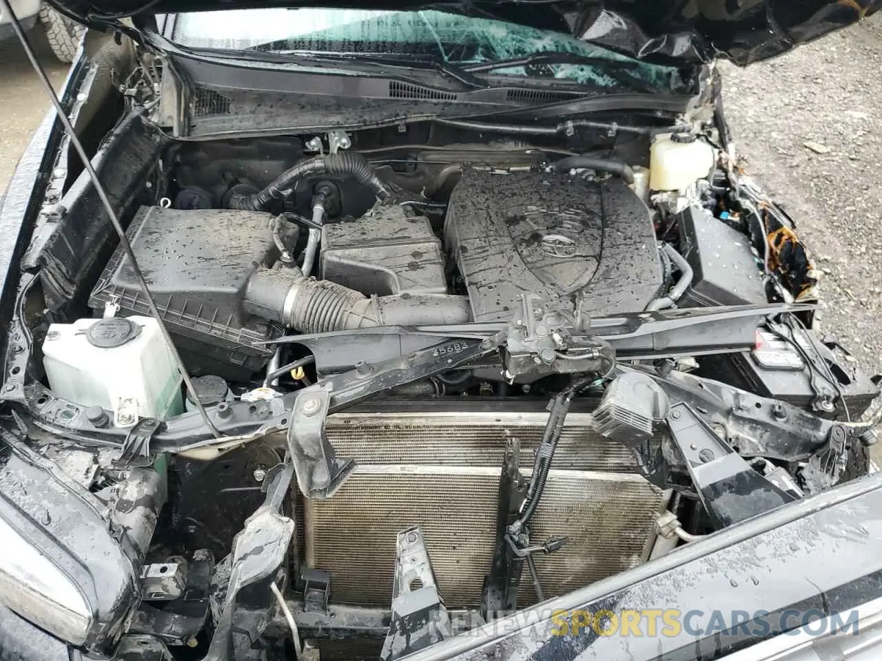 13 Фотография поврежденного автомобиля 3TMCZ5AN7PM549258 TOYOTA TACOMA 2023