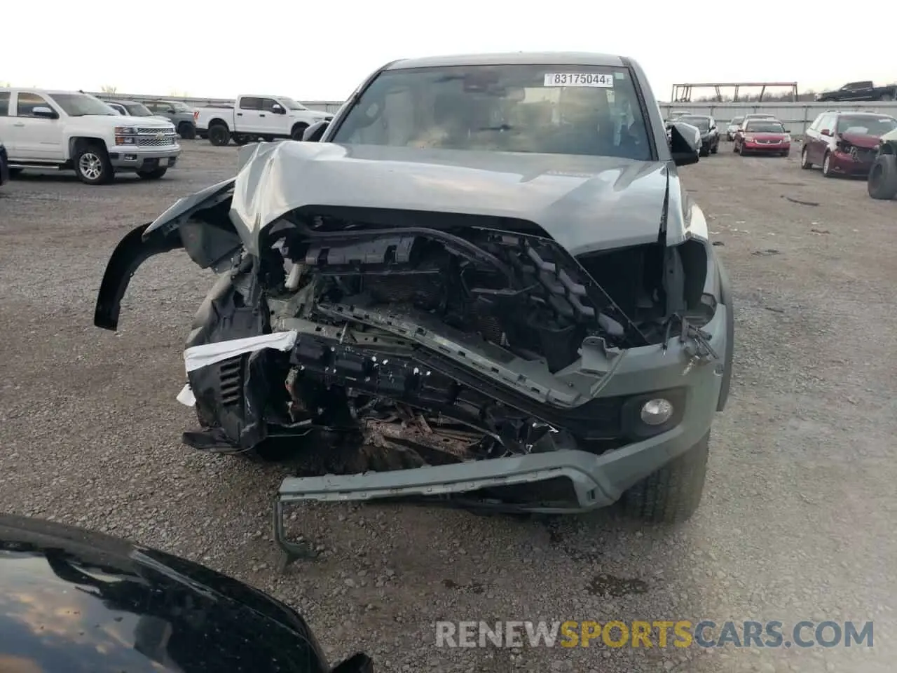 5 Photograph of a damaged car 3TMCZ5AN7PM588111 TOYOTA TACOMA 2023