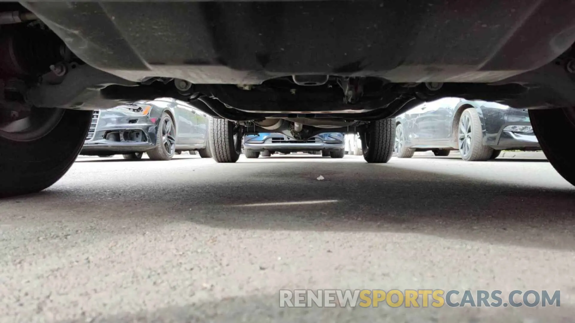 24 Photograph of a damaged car 3TMCZ5ANXPM542904 TOYOTA TACOMA 2023