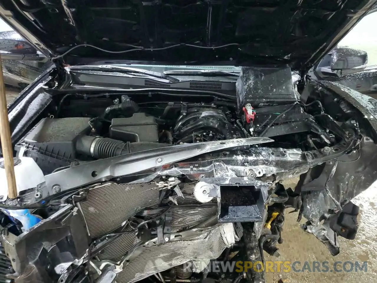 12 Photograph of a damaged car 3TYCZ5AN2PT157955 TOYOTA TACOMA 2023