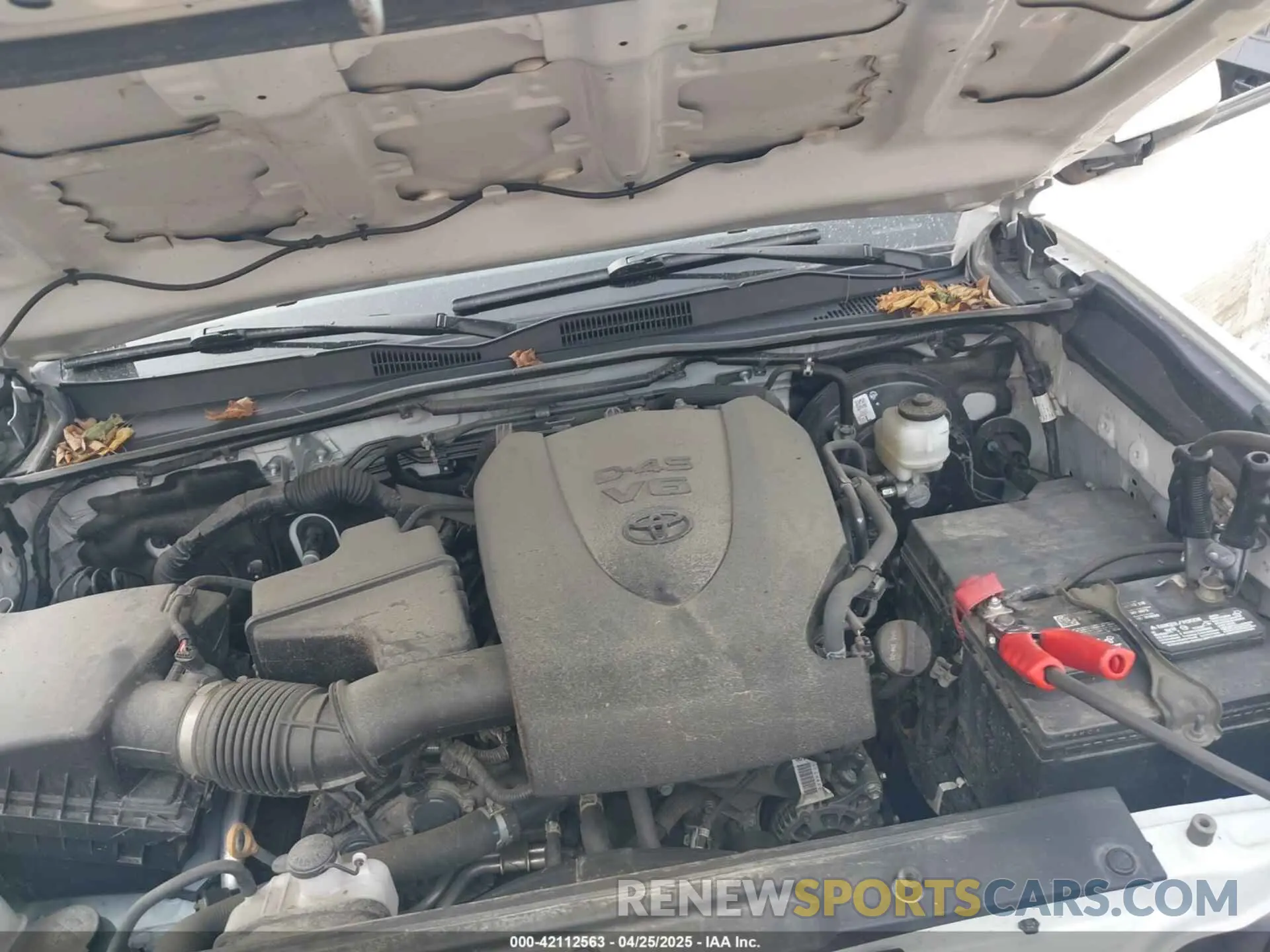 10 Фотография поврежденного автомобиля 3TYCZ5AN4PT136492 TOYOTA TACOMA 2023