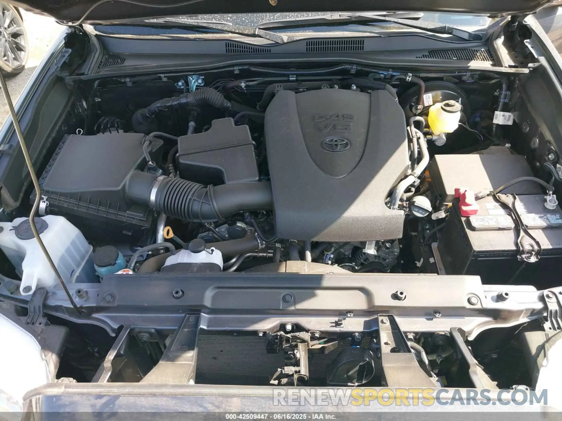 10 Фотография поврежденного автомобиля 3TYCZ5ANXPT165964 TOYOTA TACOMA 2023