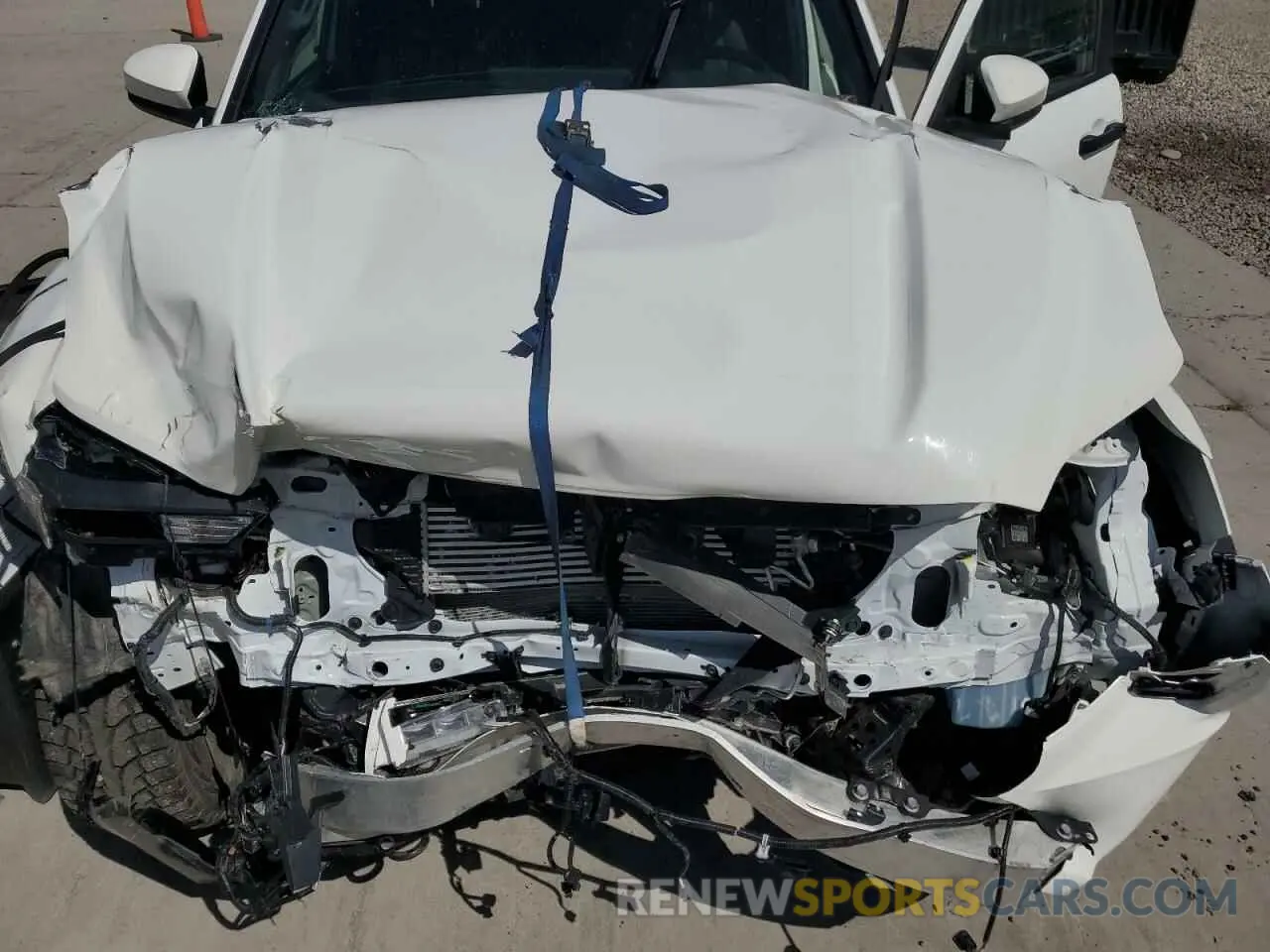 11 Photograph of a damaged car 3TMLB5JN2RM007444 TOYOTA TACOMA 2024