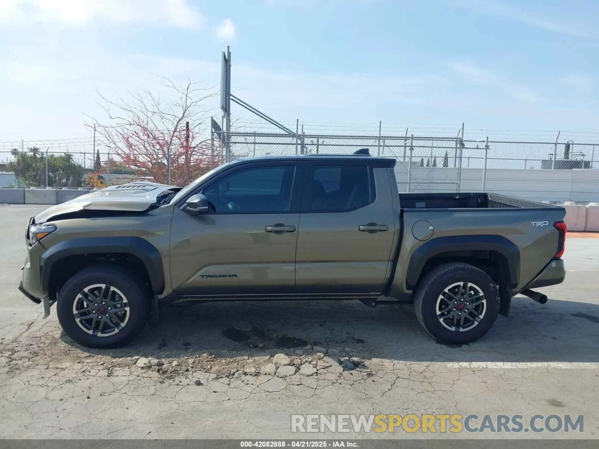 14 Фотография поврежденного автомобиля 3TMLB5JN4RM047640 TOYOTA TACOMA 2024