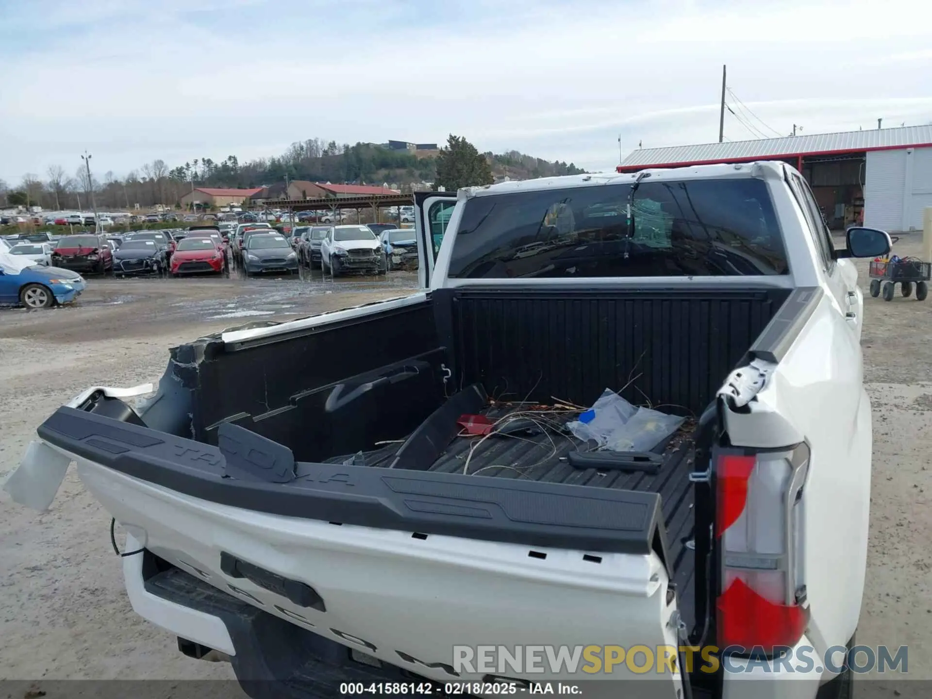 6 Photograph of a damaged car 3TYLB5JN0RT016910 TOYOTA TACOMA 2024