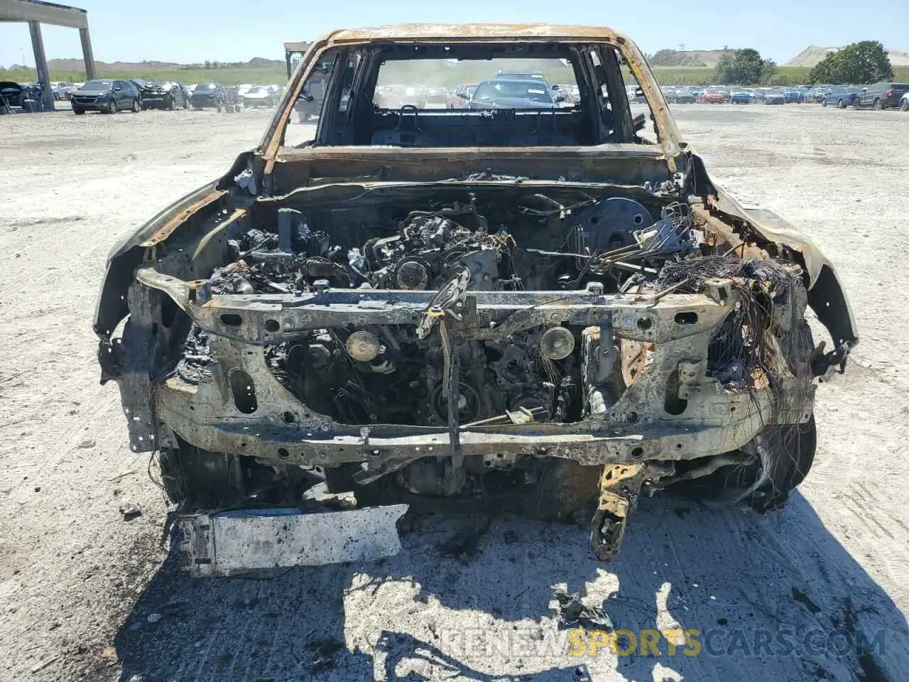 5 Photograph of a damaged car 3TYLB5JN0RT050331 TOYOTA TACOMA 2024