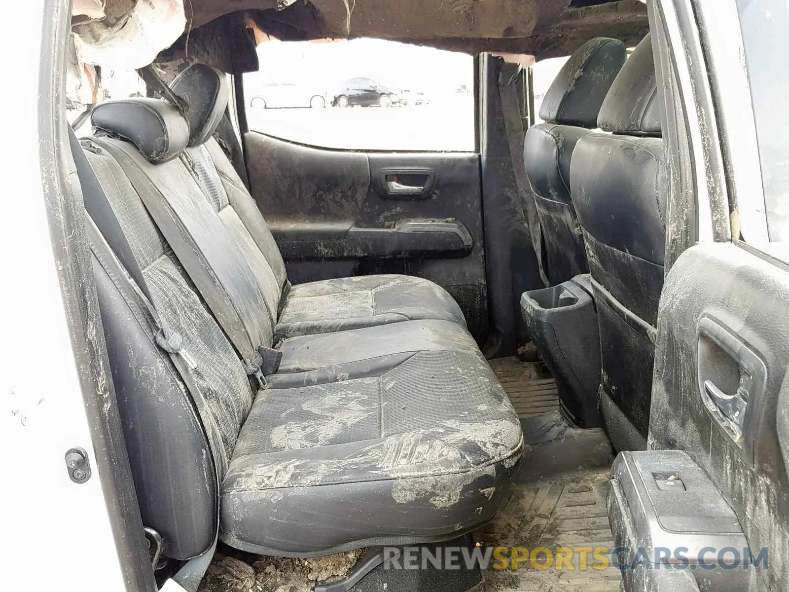 6 Photograph of a damaged car 3TMCZ5AN8KM203115 TOYOTA TACOMA DOU 2019
