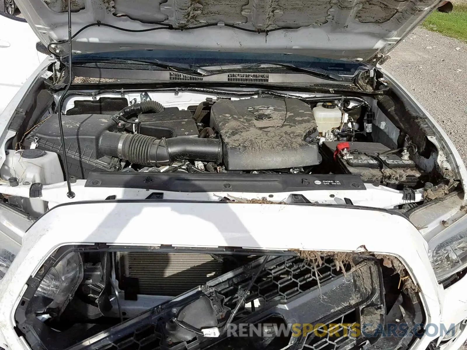 7 Photograph of a damaged car 3TMCZ5AN8KM203115 TOYOTA TACOMA DOU 2019