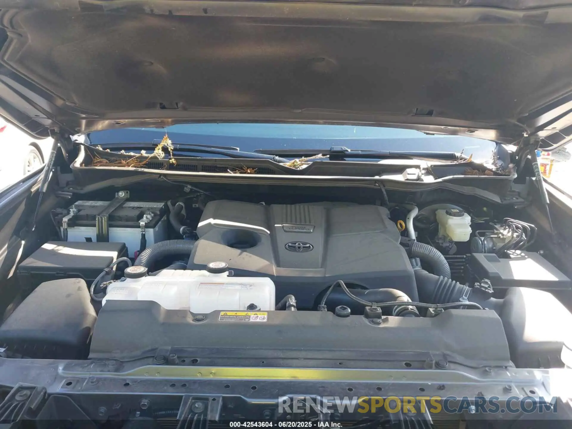 10 Фотография поврежденного автомобиля 5TFLA5DB9RX186452 TOYOTA TUNDRA 2024