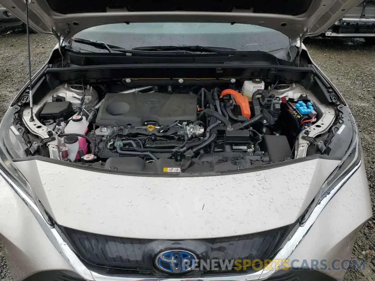 12 Photograph of a damaged car JTEAAAAH7RJ166014 TOYOTA VENZA 2024
