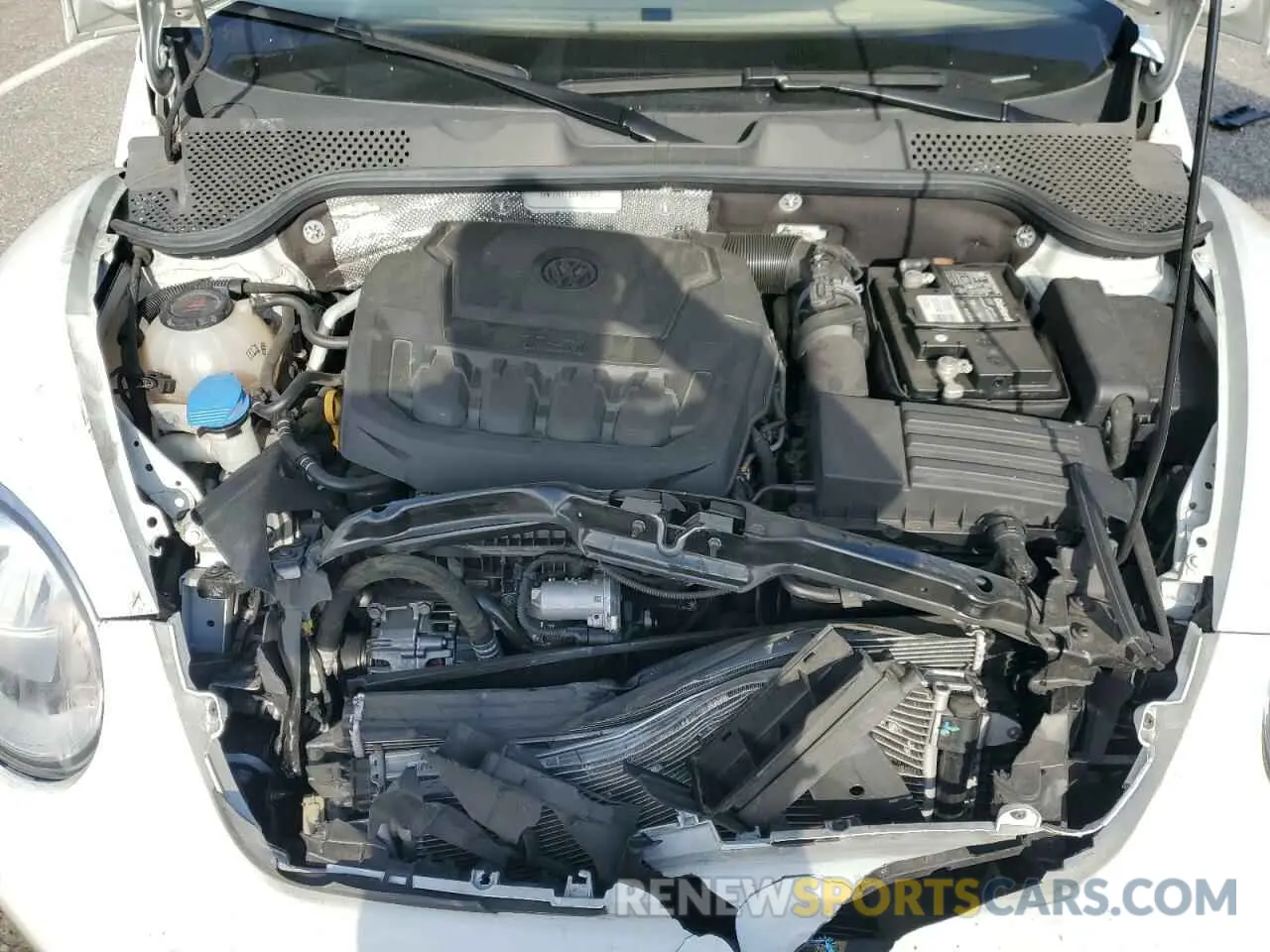 11 Photograph of a damaged car 3VW5DAATXKM505842 VOLKSWAGEN BEETLE 2019