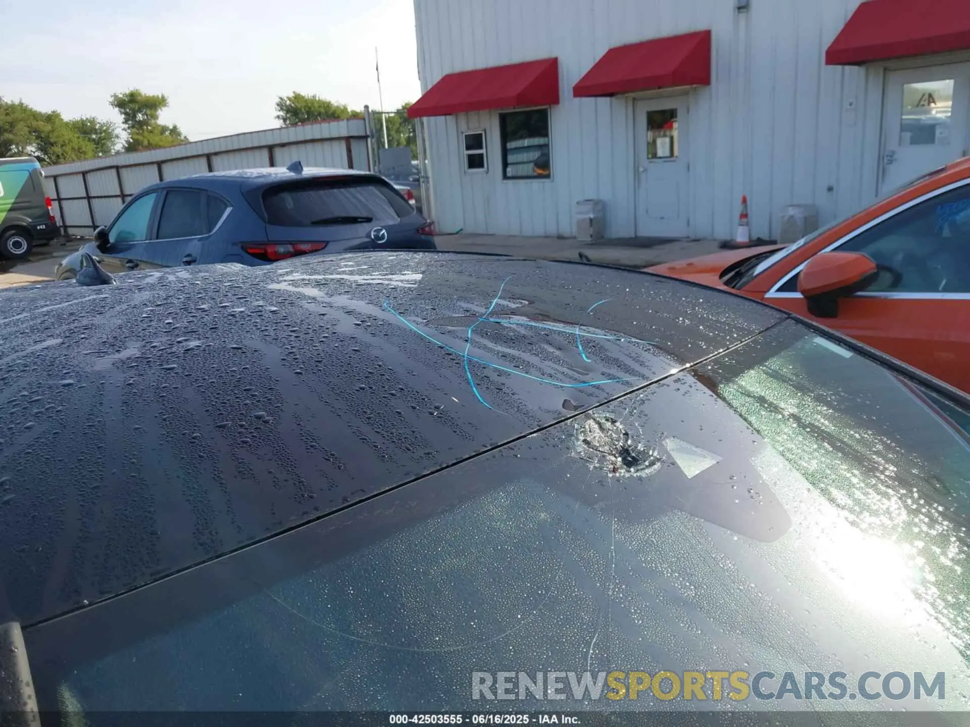 6 Photograph of a damaged car WVWGA7CDXRW214636 VOLKSWAGEN GOLF GTI 2024