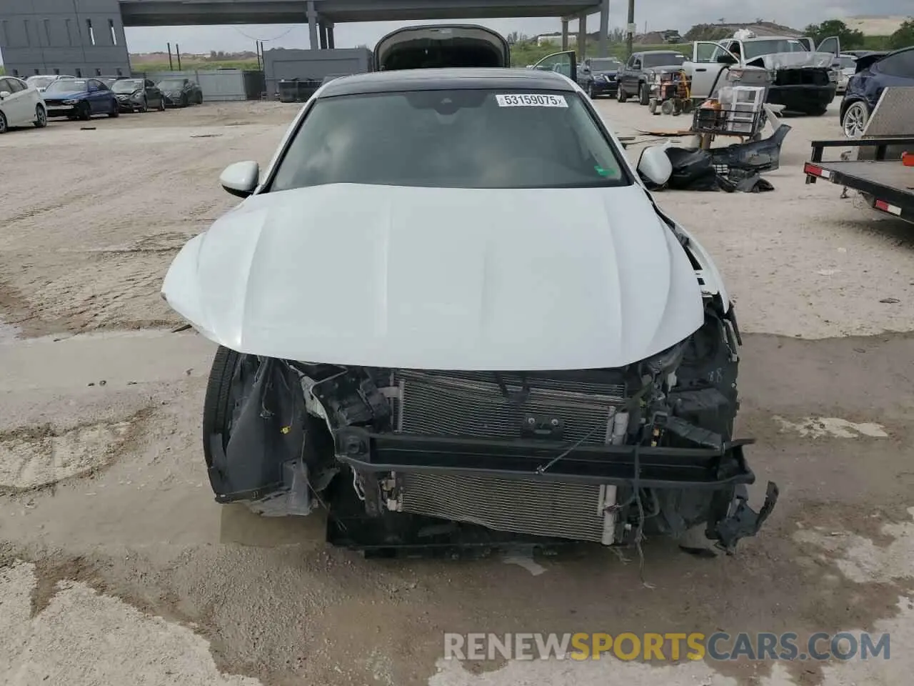 5 Photograph of a damaged car 3VWEB7BU0KM229901 VOLKSWAGEN JETTA 2019