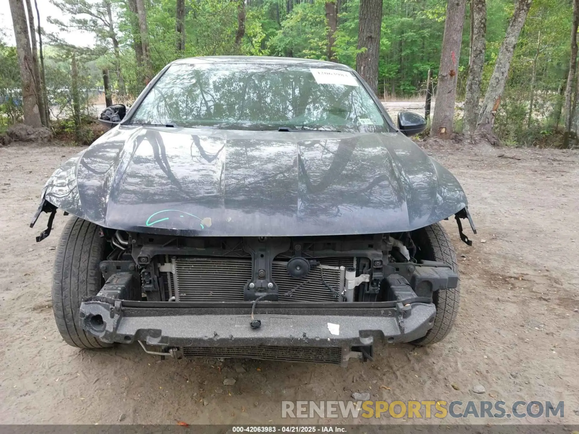 13 Photograph of a damaged car 3VWN57BU1KM050449 VOLKSWAGEN JETTA 2019