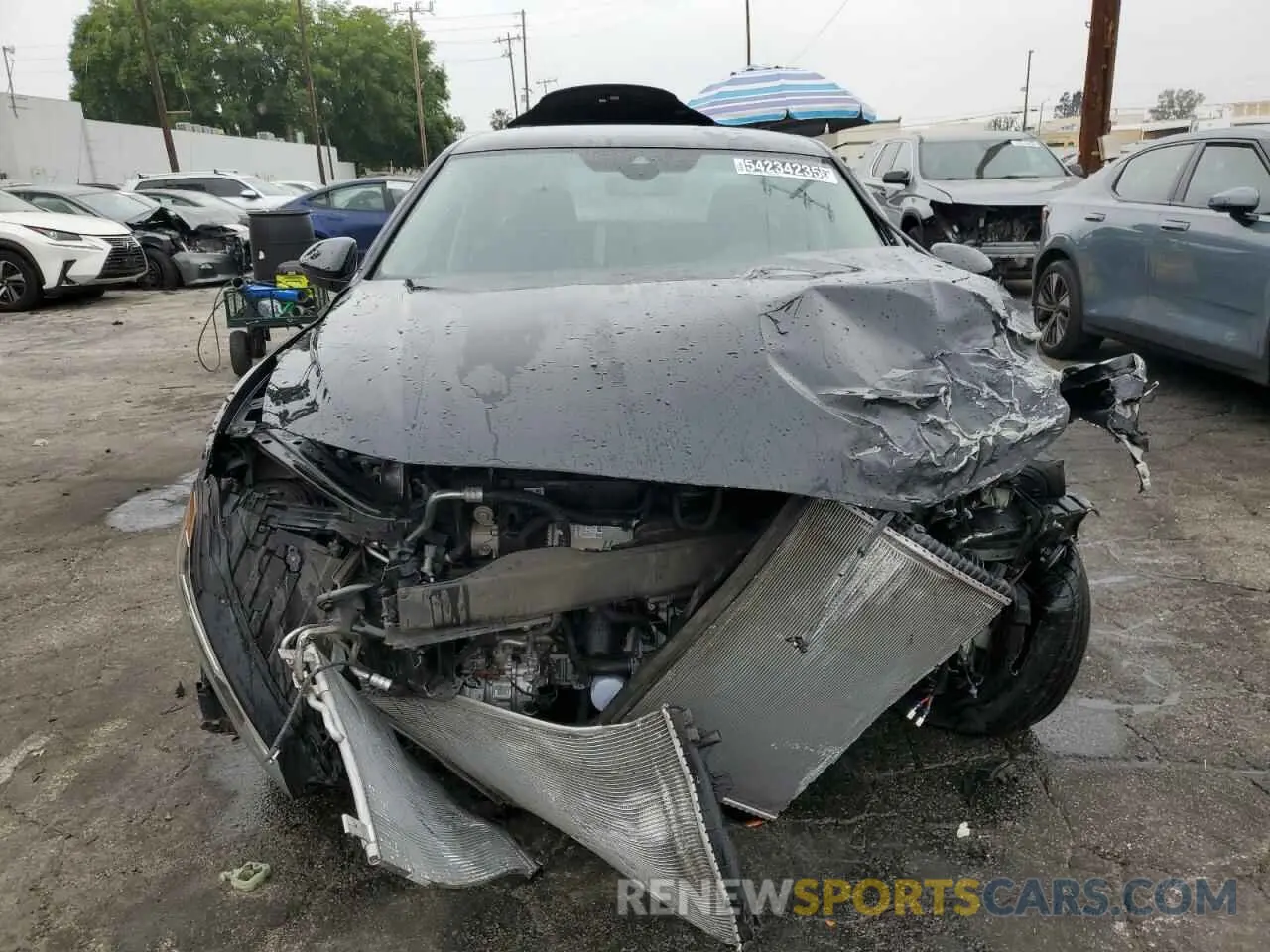 5 Photograph of a damaged car 3VW5M7BU3RM054709 VOLKSWAGEN JETTA 2024