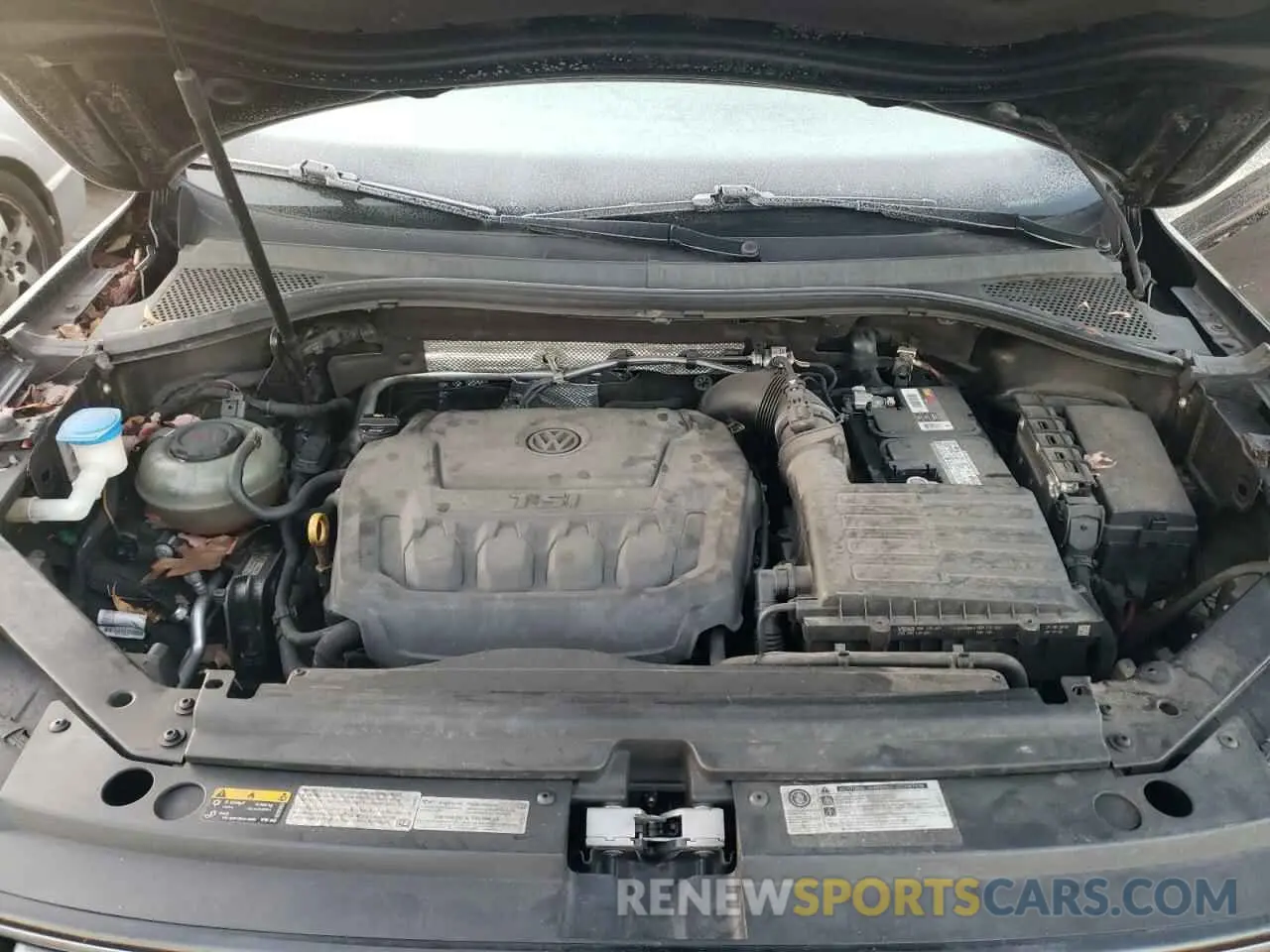 12 Photograph of a damaged car 3VV2B7AX0KM005529 VOLKSWAGEN TIGUAN 2019