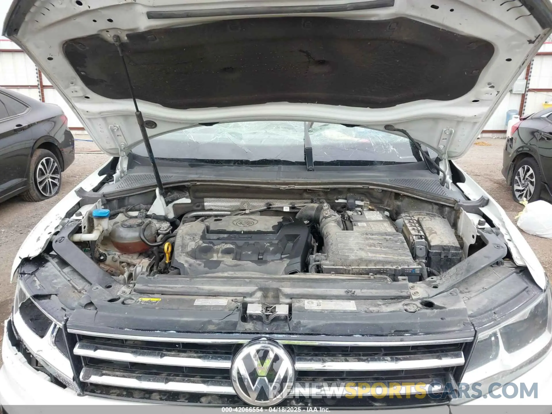 10 Photograph of a damaged car 3VV2B7AX7KM142659 VOLKSWAGEN TIGUAN 2019