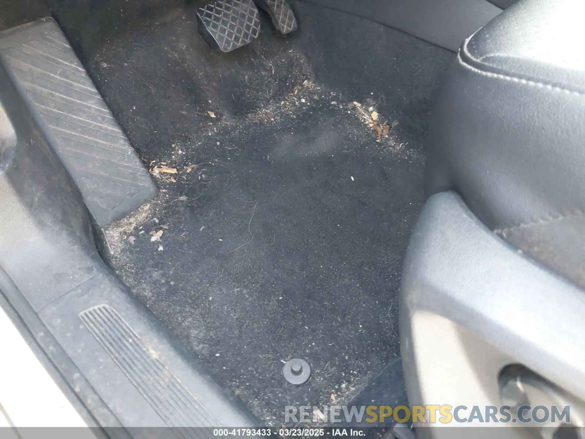 12 Photograph of a damaged car 3VV2B7AX9KM033460 VOLKSWAGEN TIGUAN 2019