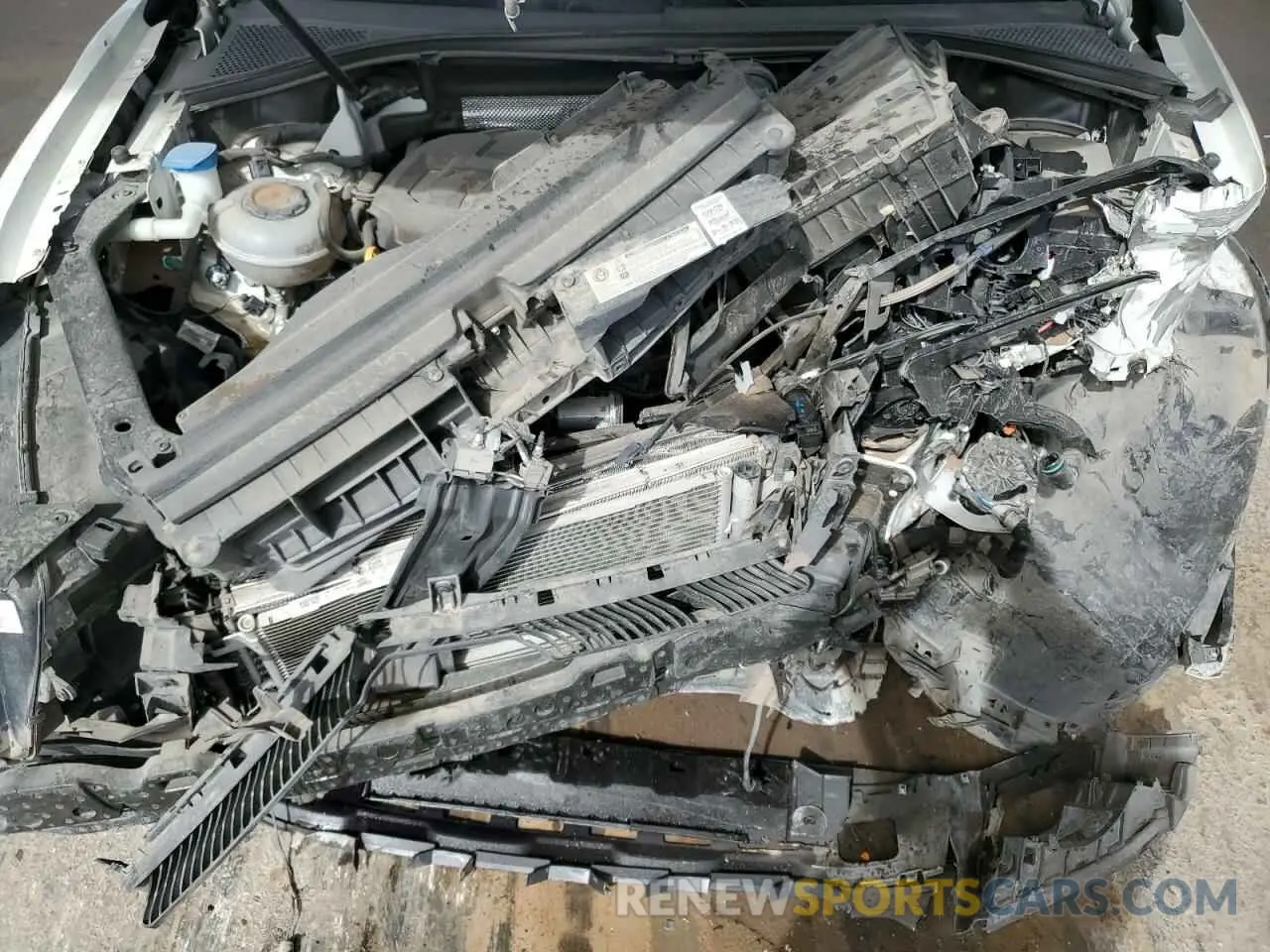 12 Photograph of a damaged car 3VV1B7AX3LM044144 VOLKSWAGEN TIGUAN 2020