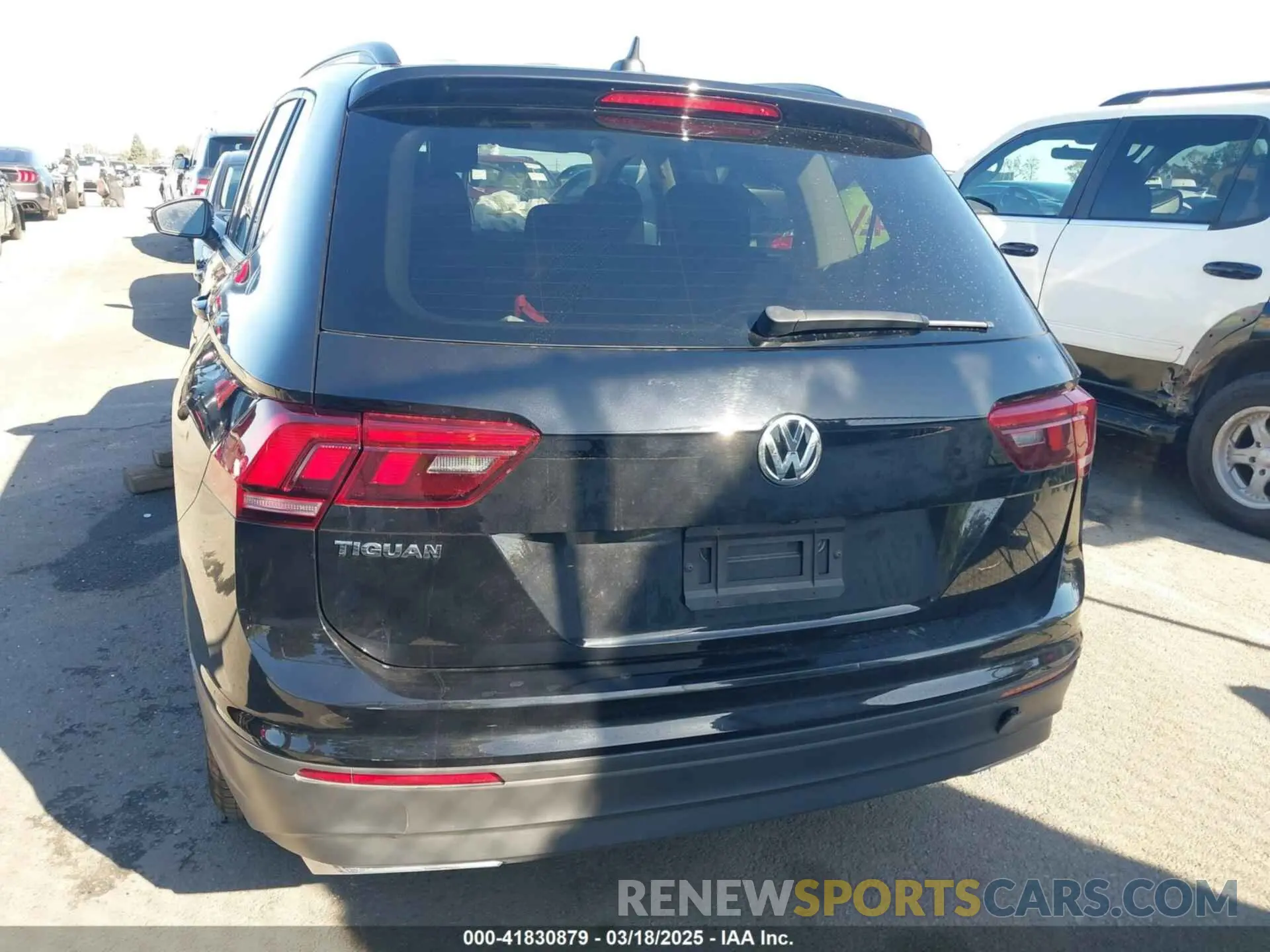 16 Photograph of a damaged car 3VV1B7AX5MM025497 VOLKSWAGEN TIGUAN 2021