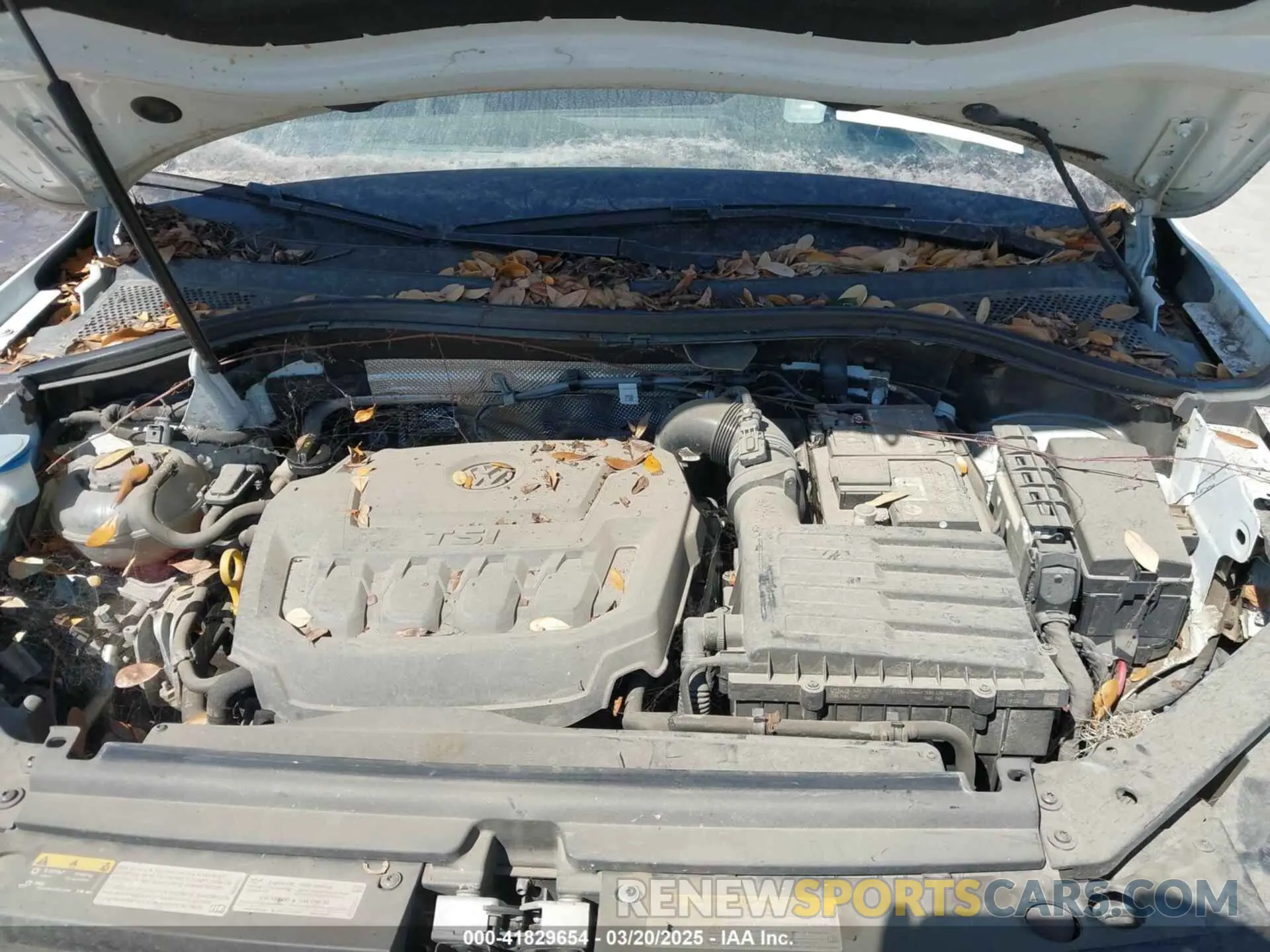 10 Photograph of a damaged car 3VV2B7AX4MM031490 VOLKSWAGEN TIGUAN 2021