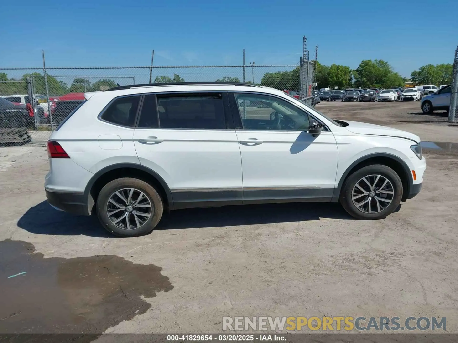 12 Photograph of a damaged car 3VV2B7AX4MM031490 VOLKSWAGEN TIGUAN 2021