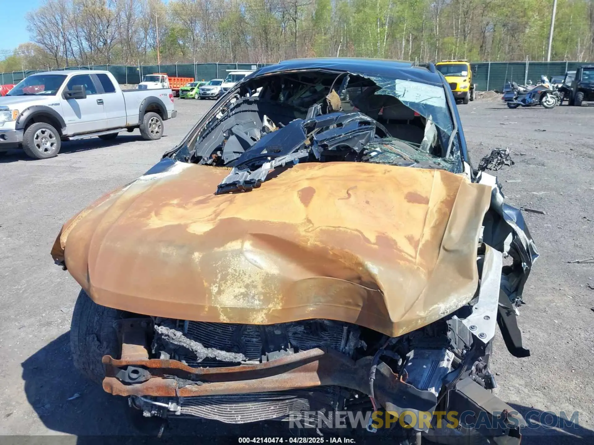 6 Photograph of a damaged car 3VV2B7AX8MM079008 VOLKSWAGEN TIGUAN 2021