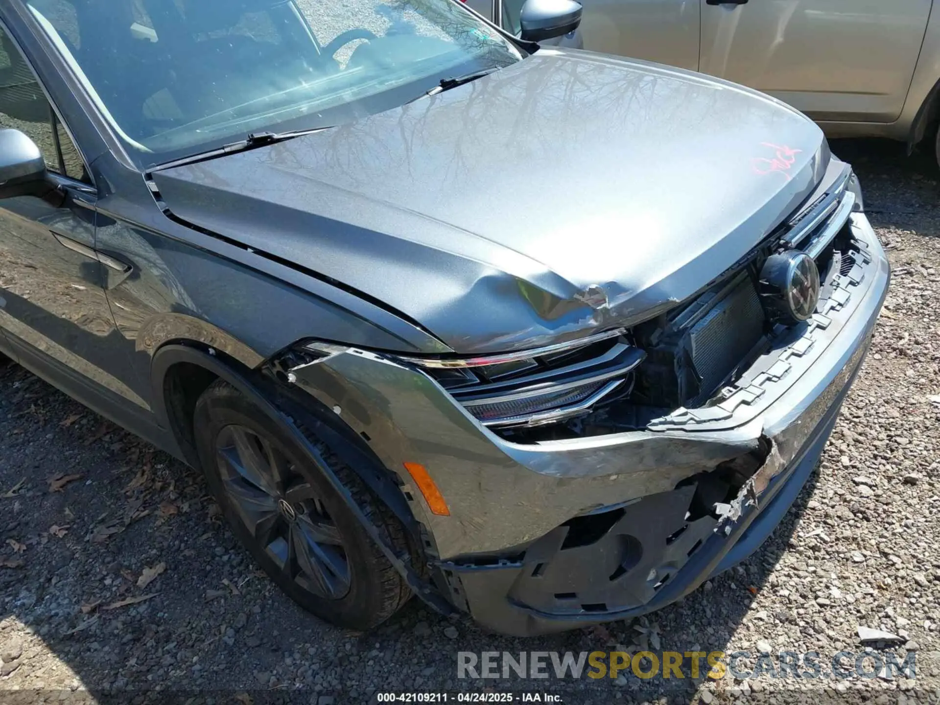 6 Photograph of a damaged car 3VV2B7AXXNM019538 VOLKSWAGEN TIGUAN 2022