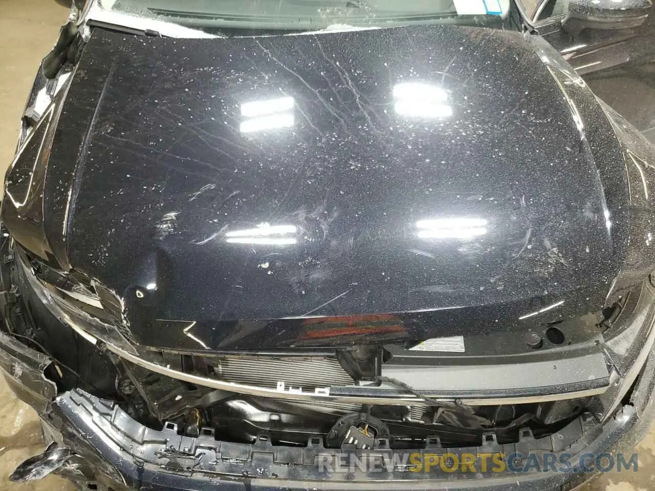 12 Photograph of a damaged car 3VVMB7AX0PM074835 VOLKSWAGEN TIGUAN 2023