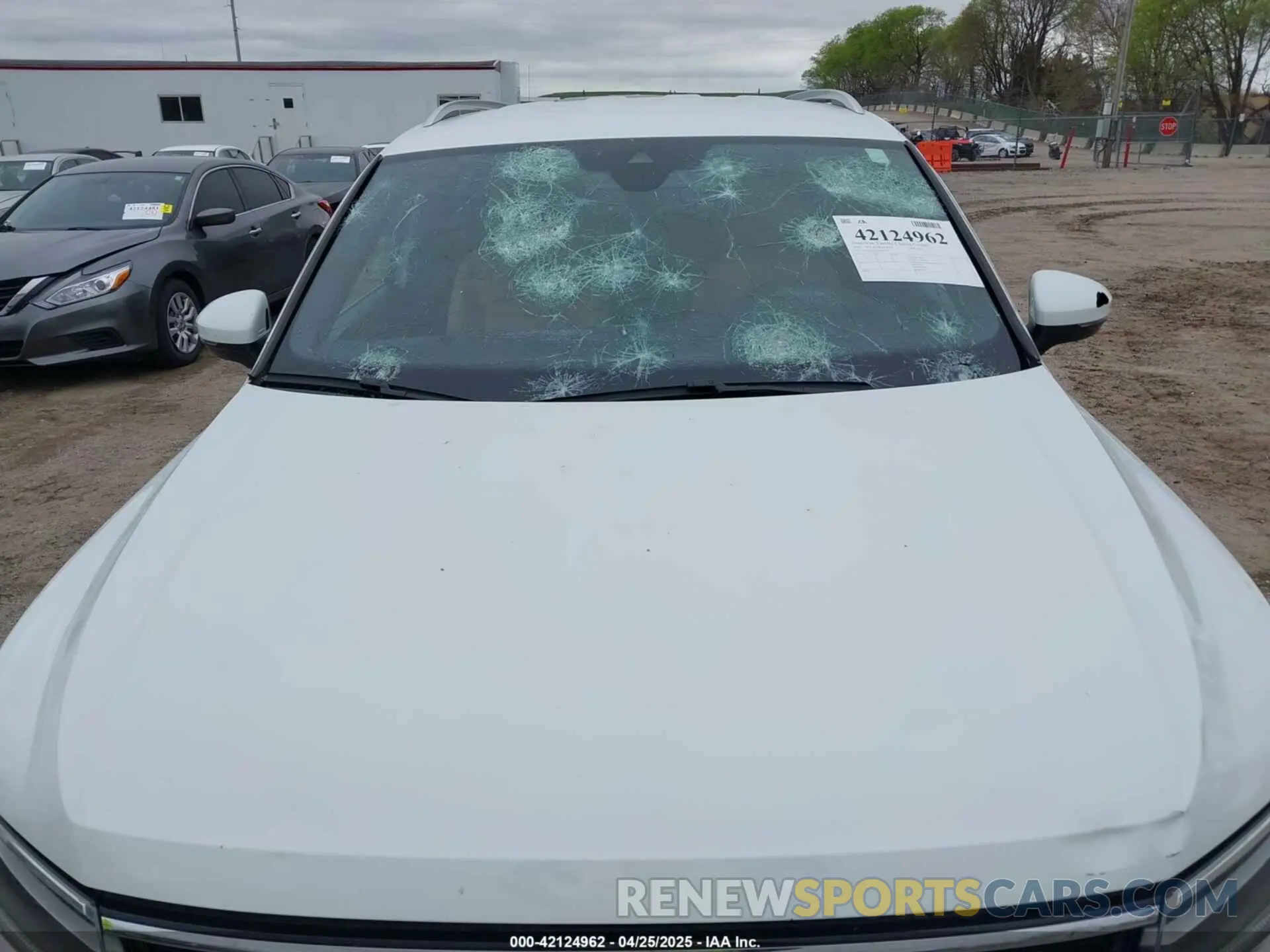 6 Photograph of a damaged car 3VV2B7AX7RM053331 VOLKSWAGEN TIGUAN 2024